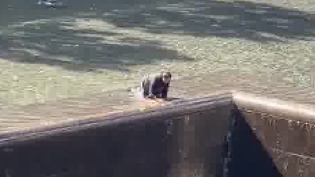 美国纽约，911纪念建筑前的蓄水池，有人跳进去了，根据纽约邮报报道，该名男子被营救然后被捕