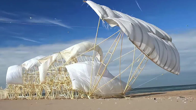 风力仿生兽，用塑料管和木头组合创造新的生命，只要有风便可以自由行走。