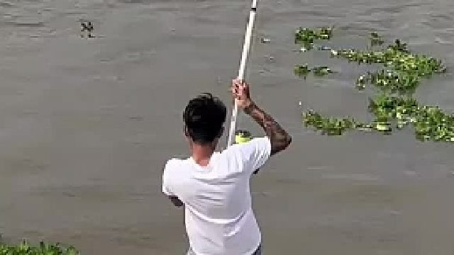 开闸放水了，里面上得鱼全是大家伙…