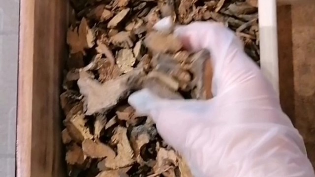 手抖？早发现早治疗早恢复