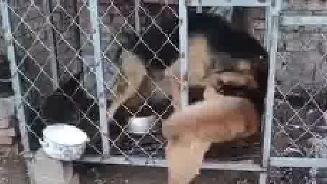 吵架之前忘锁门了