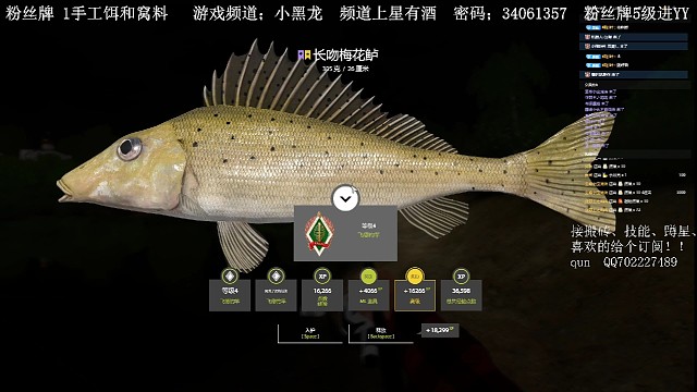 帕克竿资格任务