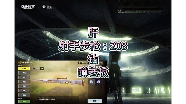 208钻皮，搞定，嘎嘎好看，嘎嘎奈斯，安排