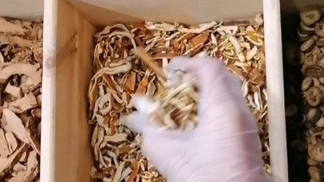 手抖？早发现早治疗早恢复