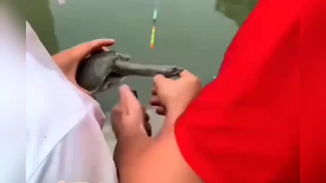 王八：这点痛处，我咬咬牙应该能挺过去……