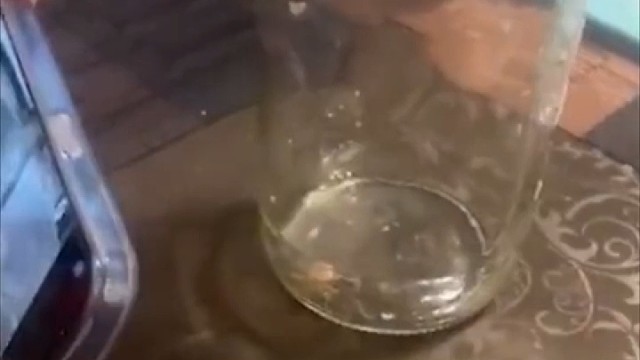 镜头对准骆驼蜘蛛对焦，抖一激灵？其实它被手机LiDARi激光吓到了。