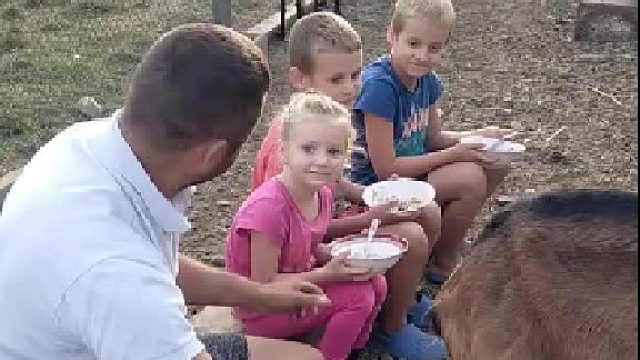 羊：这个家没我得散