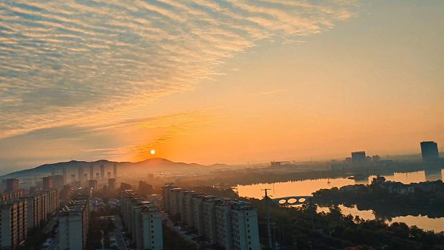 心若向阳，何惧忧伤