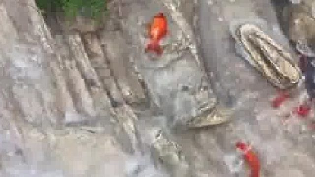 你救了他，你沦陷了