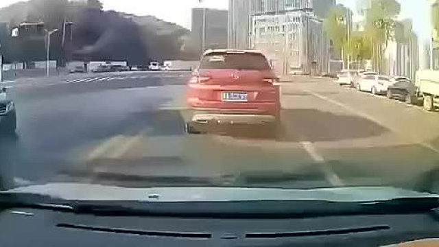 她的脑回路是什么样的