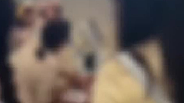 女子一进店就拿走柜台旁的行李，店员未核验身份不让拿走，女子不顾硬抢行李箱。