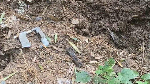 鸭子好爱吃蚯蚓的[笑cry]