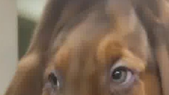 哈哈哈哈这是我没想到的……