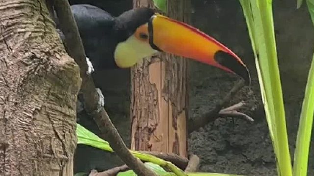 家里老人会说：傻孩儿 营养全在皮上