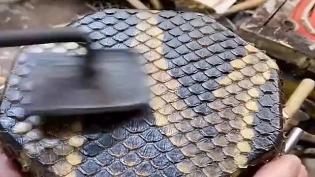 蛇皮走位，许仙：这个我熟