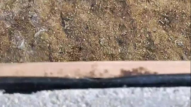 花螺：不是吧，大哥，我都叫齐兄弟了你却跟我说停止营业