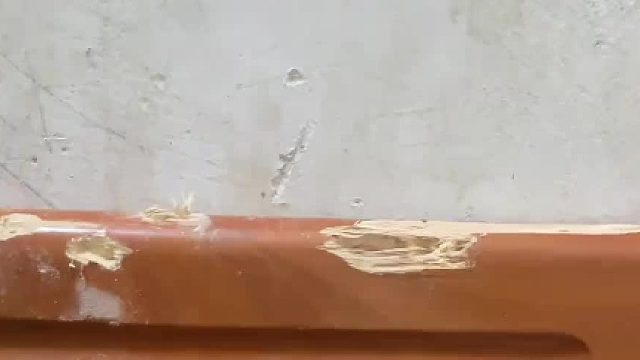 乡下睡觉就烦这种东西，白天不啃大半夜啃