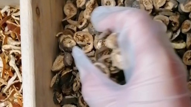 手抖？早发现早治疗早恢复