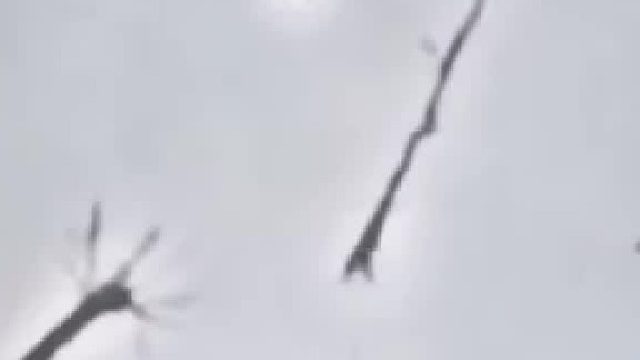 神经具有一定的自我修复功能，但是极其缓慢。