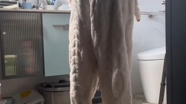 脑为髓之海，由肝肾所主，眩晕、舌蹇因外感湿热之邪，阻于中焦，湿困于脾胃，气机不畅，脾不健运，水谷运化