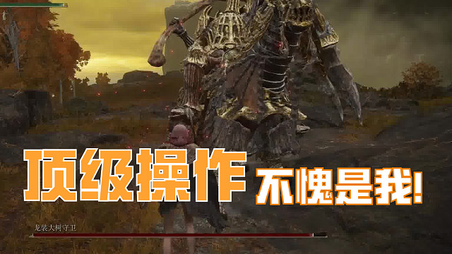 【默说】摔死龙装大树初体验成功！