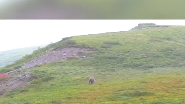 我发布了一个新视频，快来围观吧！