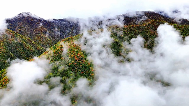甘南官鹅沟秋日美景