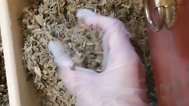 手抖？早发现早治疗早恢复