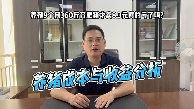 养了9个月的育肥猪平均360斤以上才卖8.3元一斤真的亏了吗？养猪成本与收益分析#养猪 #养猪成本