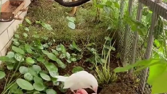 总得有点爱好吧