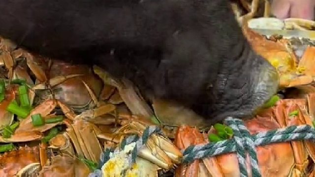 二师兄的伙食什么水平……