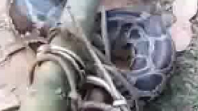 我怀疑它能吃头小驴崽