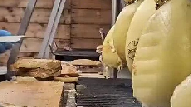 这才是烤奶酪，见识了，应该很好吃