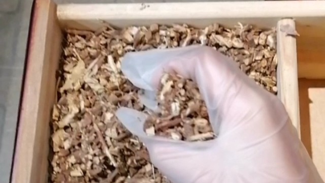 手抖？早发现早治疗早恢复