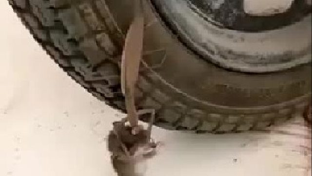 这个世界太疯狂了