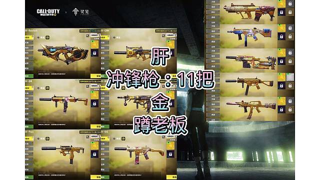 冲锋枪11把金皮，搞定，嘎嘎好看，嘎嘎奈斯，安排