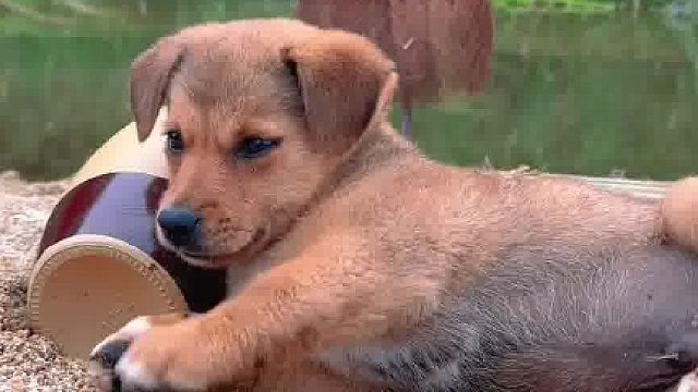 痴心作候，几度消瘦等几度春秋