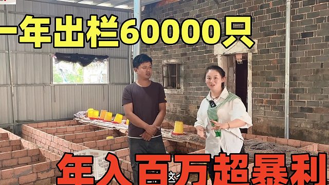一年出栏60000只，一只卖40成本8毛，年入百万暴利，还包回收！