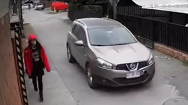 车上的人被迫偷了一只狗