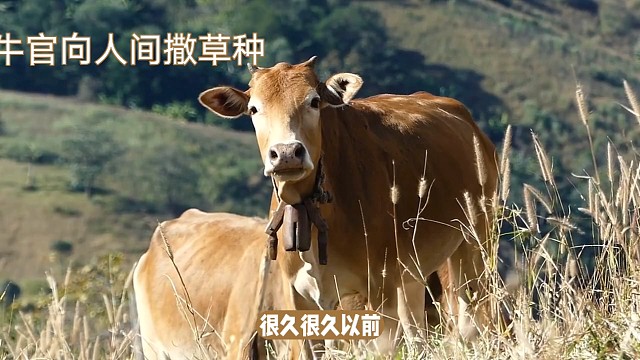 游戏看腻了，听听故事