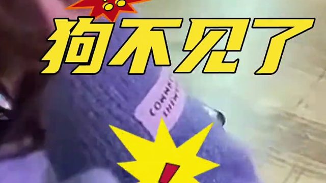 当狗子拥有了一个电话手表，主人拨打电话喊话狗子回家， “狗狗电话多少我要找它唠嗑”