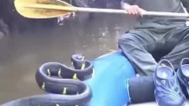 我想的侧面一桨给它拍下去，是不是太天真了