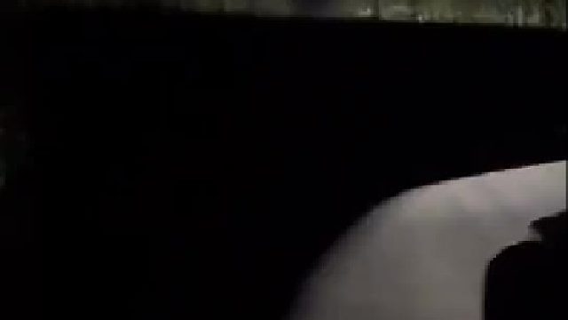 在东北的野外都不敢下车，怕有东北虎