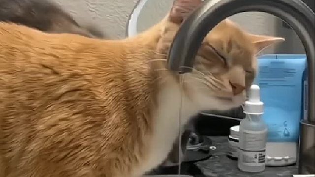 早八人的精神状态