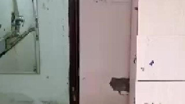 这老鼠 挺可爱的！！