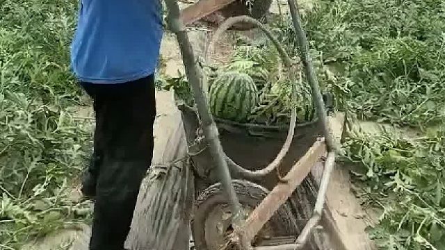 劳动人民有智慧