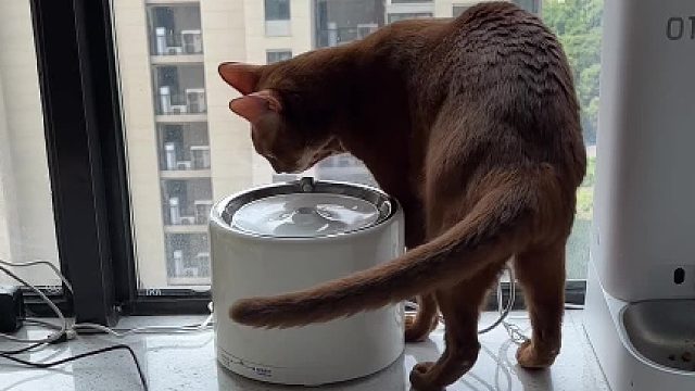 我保证不会有下一次了…我发4