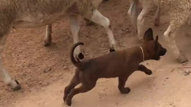 刚入职场的小白 干劲都很足