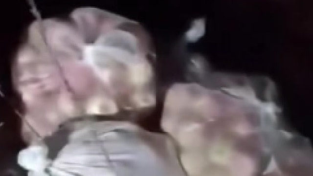 一女子开车去农村偷苹果