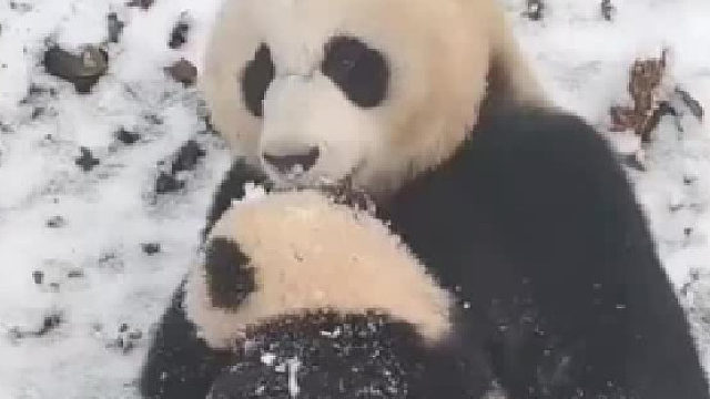 上一秒多喜欢，下一秒就有多嫌弃